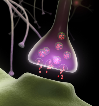 Computer rendering of a neuron releasing neurotransmitters at a synapse.